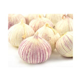 Knoblauch SOLO – Milder Einzehen-Knoblauch für feine Küche Gemüse Obstwelt 