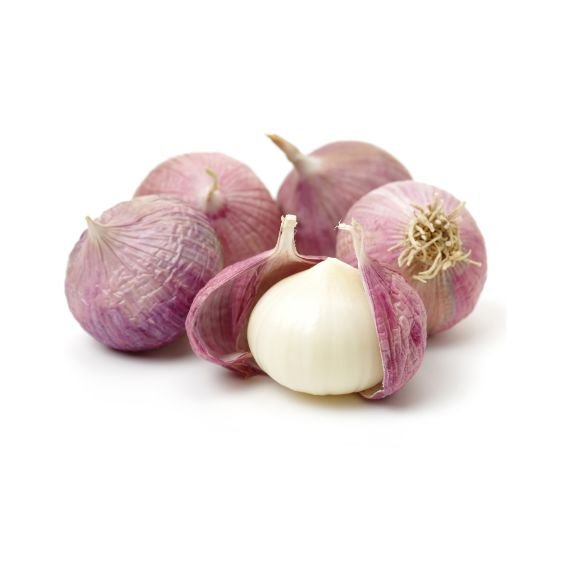 Knoblauch SOLO Einzehenknoblauch mit weißer Schale
