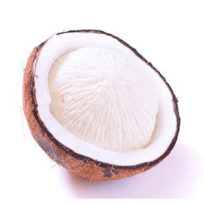 Kokosnuss Tombong als gekeimte Kokosnuss mit essbarem Kokosapfel