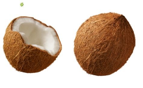Kokosnusspüree von PONTHIER – Tropisch, cremig & 100 % Frucht Fruchtpüree Obstwelt 