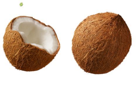 Kokosnusspüree von PONTHIER – Tropisch, cremig & 100 % Frucht Fruchtpüree Obstwelt 