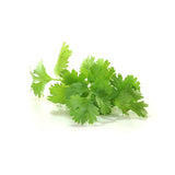 Koriander – Intensives Aroma für exotische Gerichte Gewürz Obstwelt 