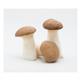 Kräuterseitlinge – Fleischige Edelpilze für feine Gerichte Pilze Obstwelt 