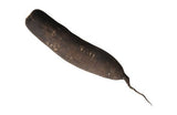 Black Spanish Long Radish als kräftiger Winterrettich online bestellen