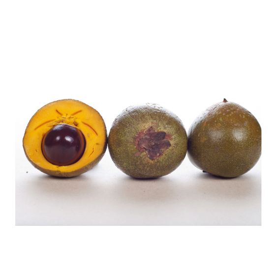 Lucuma – Exotische Superfrucht mit natürlicher Süße & Power Exoten Obstwelt 