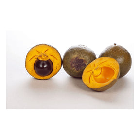 Lucuma Frucht mit grünlicher Schale und gelbem Fruchtfleisch