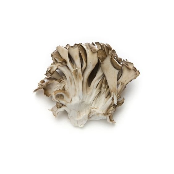 Maitake Pilze – Edle Vitalpilze für feine & gesunde Gerichte Pilze Obstwelt 