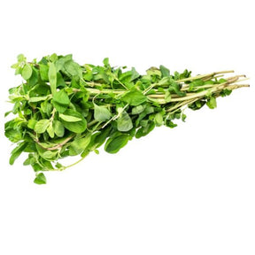 Frischer Majoran mit grünen Blättern und mild-würzigem Aroma