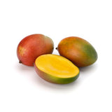 Mango Palmer – Aromatisch & faserfrei für puren Fruchtgenuss Exoten Obstwelt 