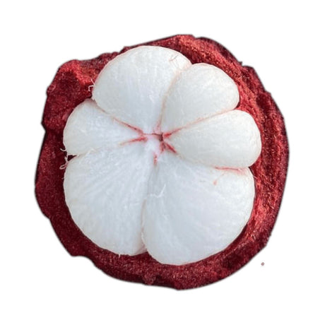 Mangostan – Exotische Superfrucht Exoten Obstwelt 