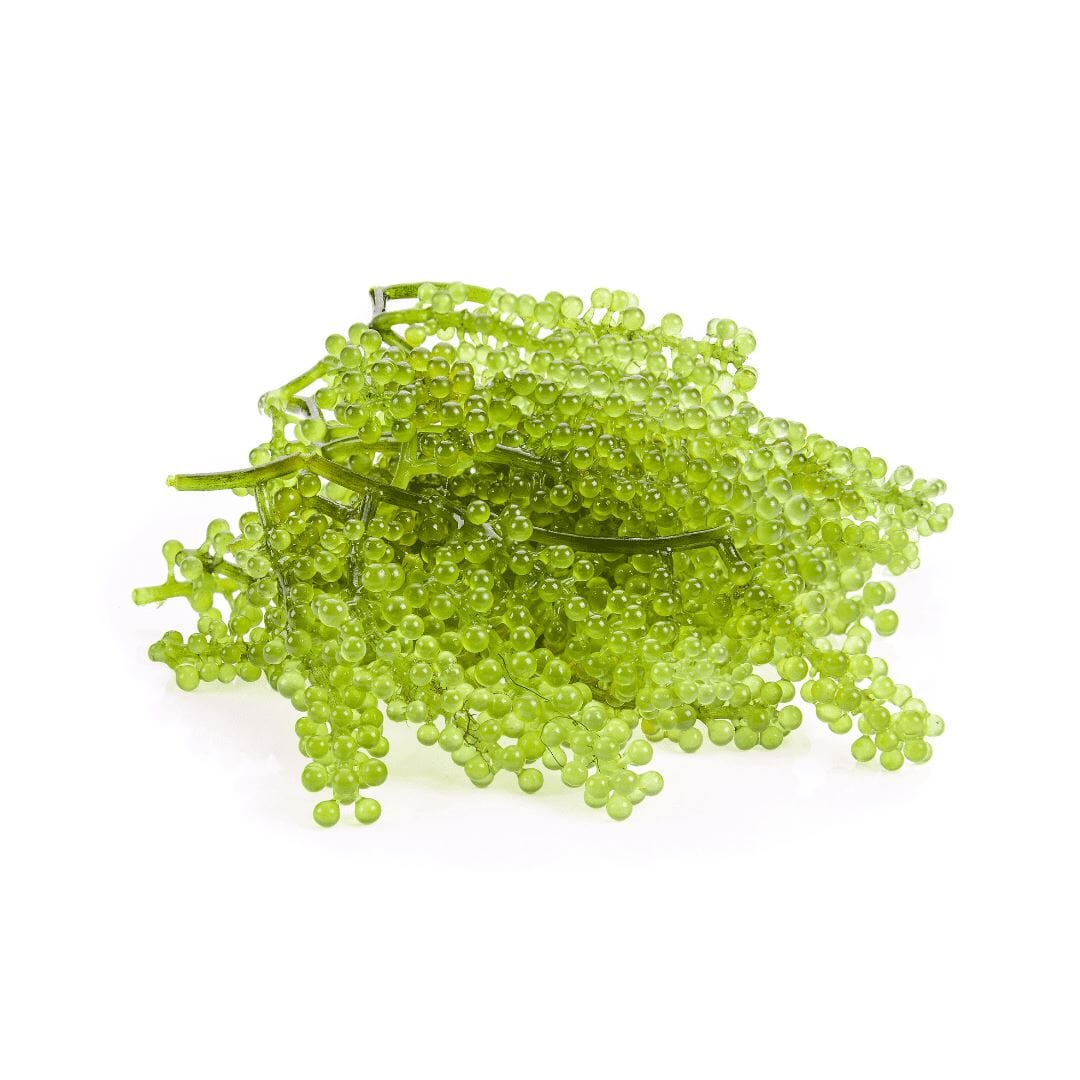Meertrauben (Green Caviar) – Knackige Algenperlen für Sushi & Salat - Obstwelt