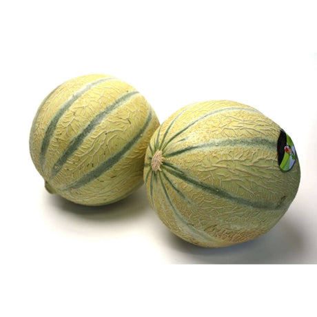 Melonen Cantaloup – Süß, Saftig und Erfrischend Exoten Obstwelt 