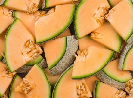 Melonenpüree von PONTHIER – Fruchtig-frisch für Dessert & Drink Fruchtpüree Obstwelt 