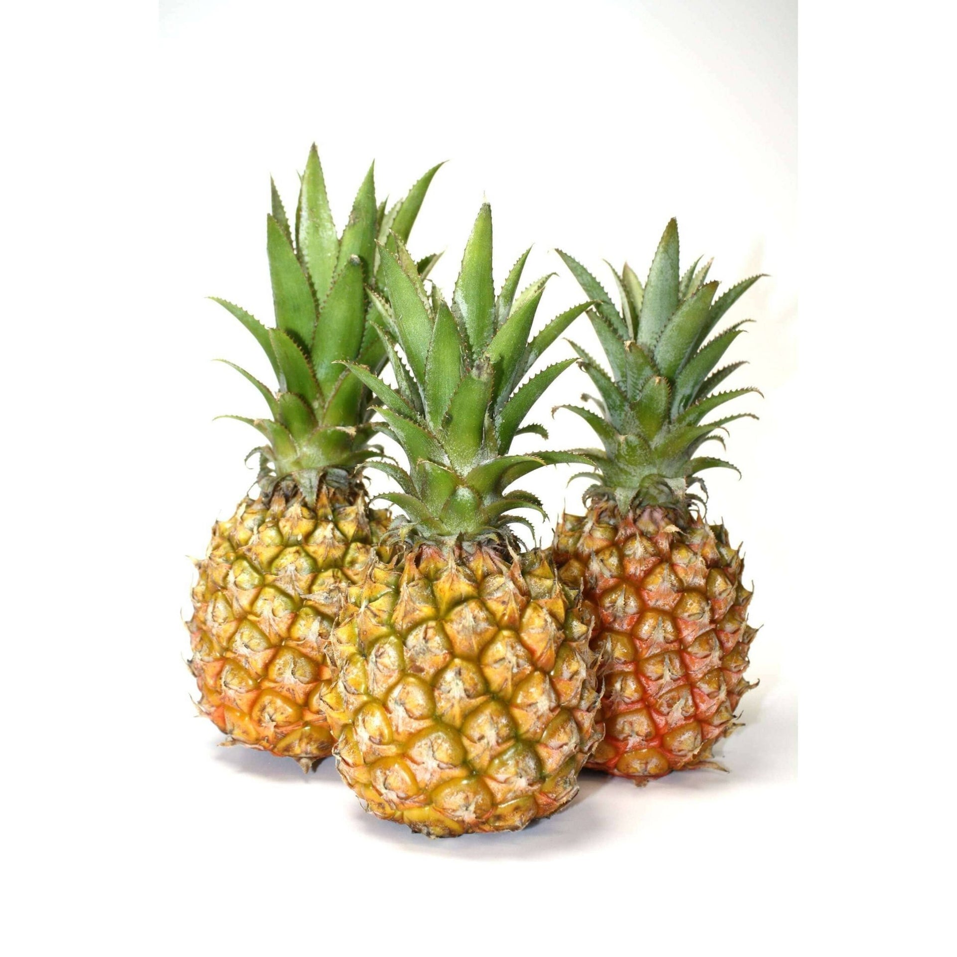 Mini-Ananas kaufen | Kleine Baby-Ananas