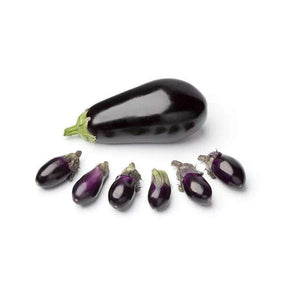 Frische Mini Auberginen mit glänzender violetter Schale
