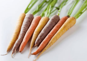 Bunter Mini Karotten Mix mit orangefarbenen, gelben und violetten kleinen Karotten