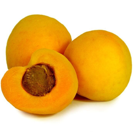 Nectacot – Kreuzung aus Nektarine und Aprikose Obst Obstwelt 