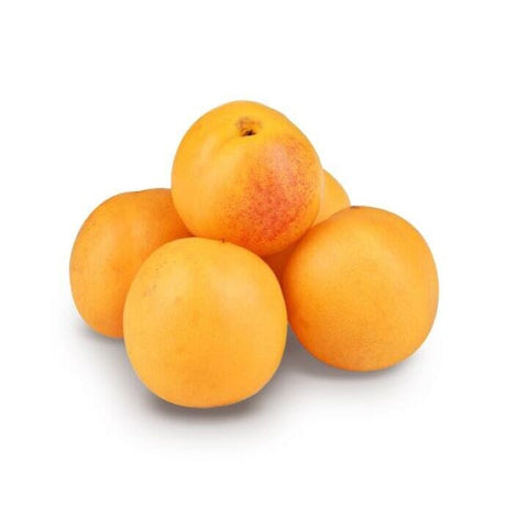 Nectacot – Kreuzung aus Nektarine und Aprikose Obst Obstwelt 