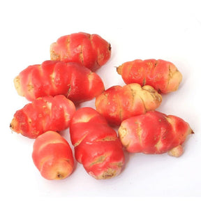 Oca de Peru Rot mit roter Schale und länglicher Knollenform