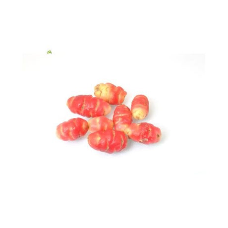 Oca de Peru Rot – Exotische Knolle mit süß-säuerlichem Aroma Gemüse Obstwelt 