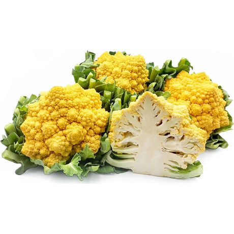 Orangefarbener Romanesco – Nährstoffreicher Hingucker Gemüse Obstwelt 