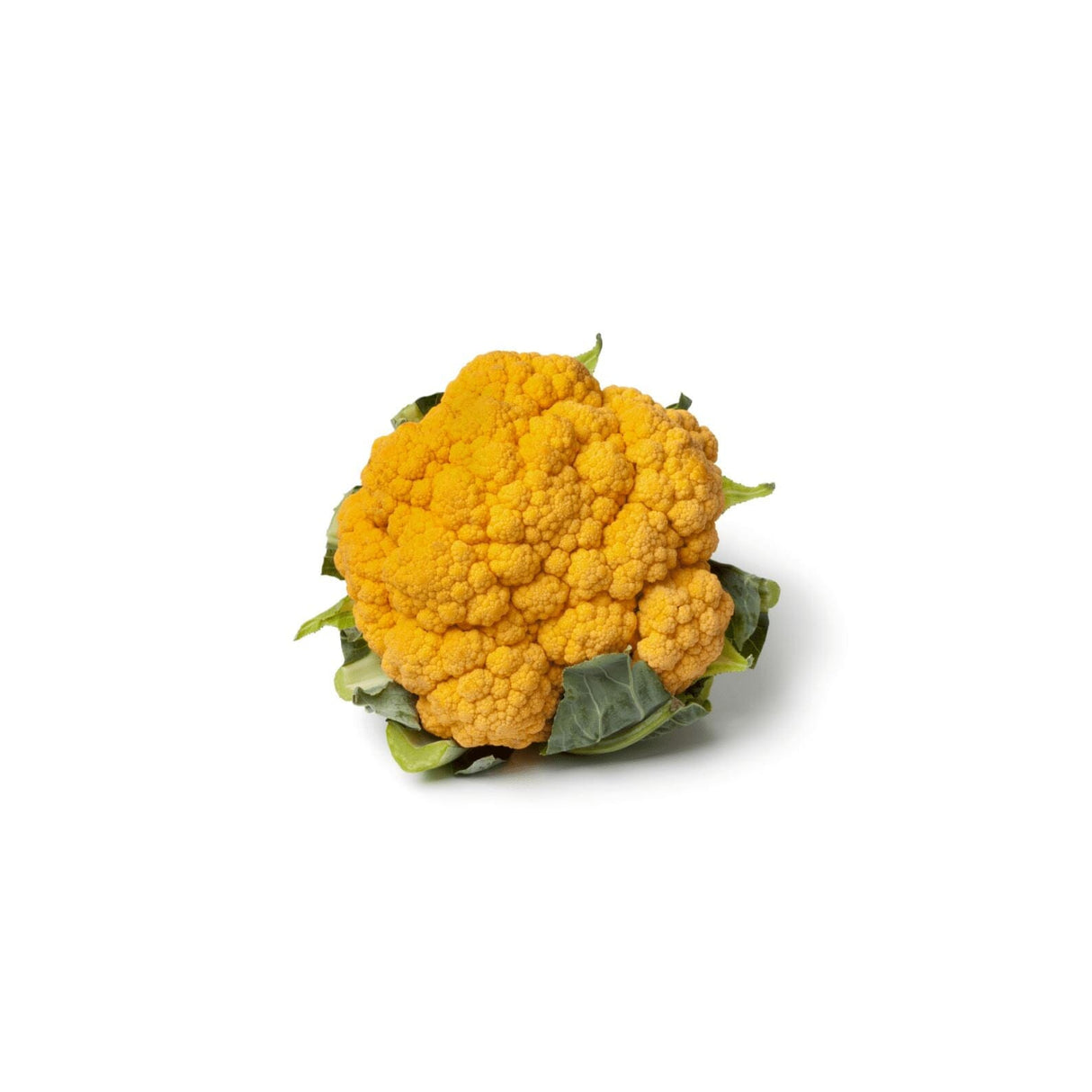 Oranger Blumenkohl mit leuchtend orangefarbenen Röschen