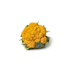 Oranger Blumenkohl mit leuchtend orangefarbenen Röschen