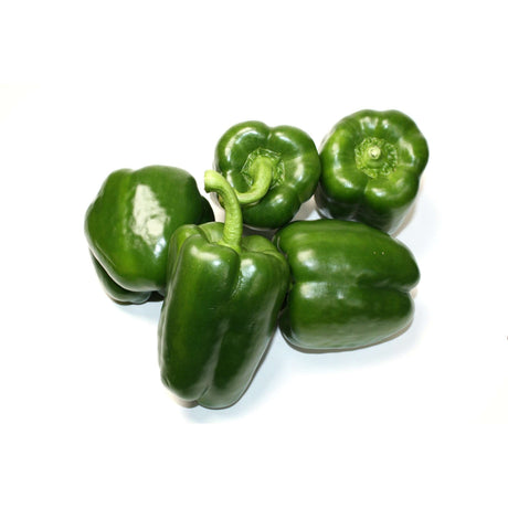 Paprika grün Gemüse Obstwelt 