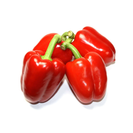 Paprika rot Gemüse Obstwelt 