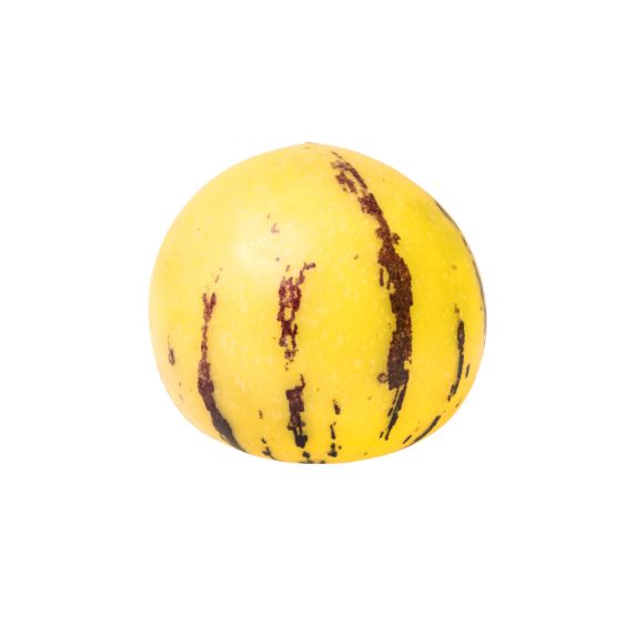 Pepino Melone – Zart-süße Exotenfrucht mit Melonenaroma Exoten Obstwelt 