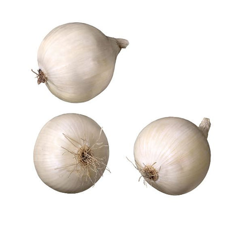 Perlzwiebeln – Kleine aromatische Zwiebeln für Beilagen & Eintöpfe Gemüse Obstwelt 