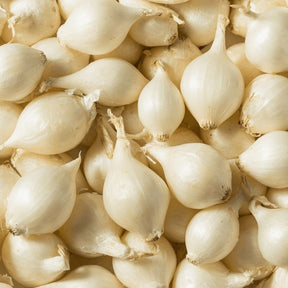 Frische Perlzwiebeln mit kleiner runder Form und heller Schale