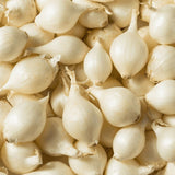 Perlzwiebeln – Zarte, milde Zwiebeln Gemüse Obstwelt 