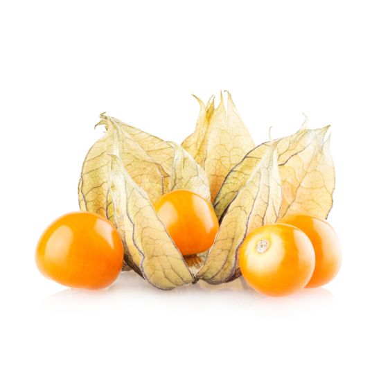 Physalis – Exotische Beere mit fruchtiger Säure & Deko-Power Exoten Obstwelt 
