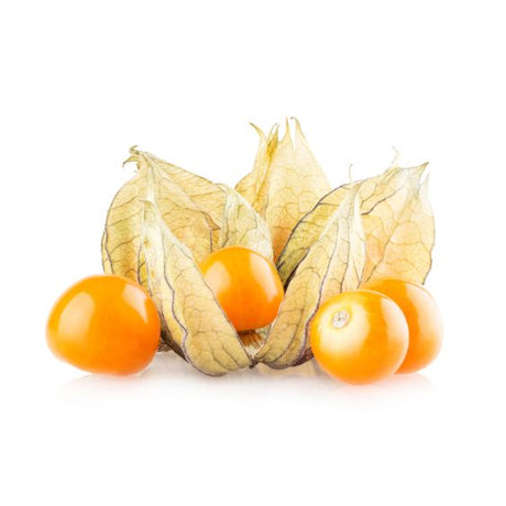 Physalis – Exotische Beere mit fruchtiger Säure & Deko-Power Exoten Obstwelt 