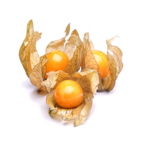 Frische Physalis mit orangefarbener Beere und papierartiger Hülle