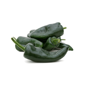 Frische Poblano Chili mit dunkelgrüner glänzender Schale