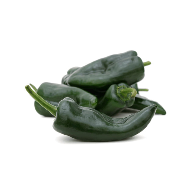 Frische Poblano Chili mit dunkelgrüner glänzender Schale