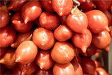 Pomodoro del Piennolo Gemüse Obstwelt 