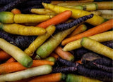 Regenbogen-Karotten-Mix – Bunt, knackig & voller Vitamine Gemüse Obstwelt 