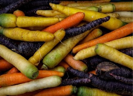 Regenbogen-Karotten-Mix – Bunt, knackig & voller Vitamine Gemüse Obstwelt 