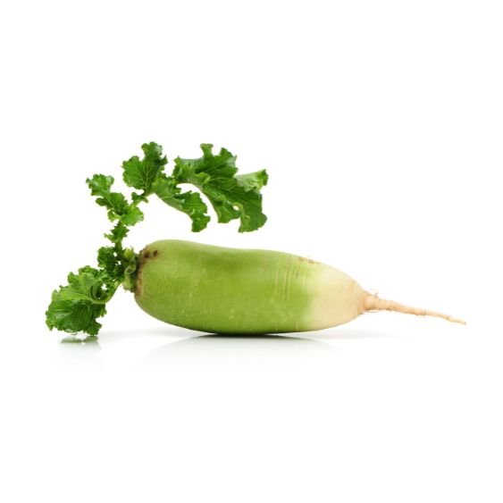 Rettich Grün – Mild-würzig & knackig für Salat & asiatische Küche Gemüse Obstwelt 