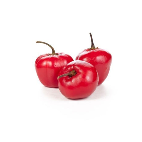 Rocoto Chili – Fruchtige Schärfe aus den Anden für echte Chili-Fans chili Obstwelt 