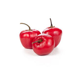 Rocoto Chili – Fruchtige Schärfe aus den Anden für echte Chili-Fans chili Obstwelt 