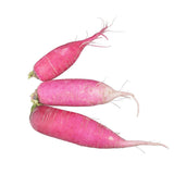 Rettich Rosa mit rosa bis rötlicher Schale und hellem Fruchtfleisch
