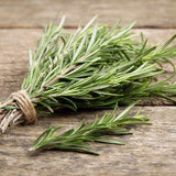 Rosmarin – Würziges Kraut für mediterrane Rezepte Gewürz Obstwelt 