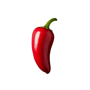 Rote Jalapeño Chilis mit leuchtend roter Schale und fruchtiger Schärfe