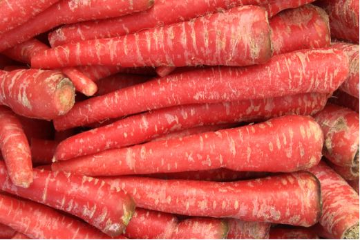 Rote Karotten – Süß-aromatisches Wurzelgemüse in satter Farbe Gemüse Obstwelt 