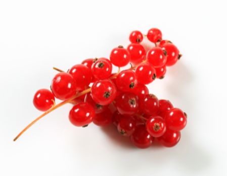 Rotes Johannisbeerpüree von PONTHIER – Frisch-säuerlich & intensiv Fruchtpüree Obstwelt 