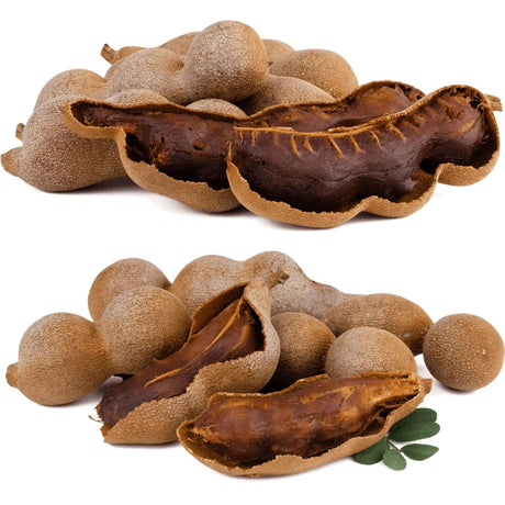 Saure Tamarinde – fruchtig-säuerliche Tamarindenschoten - Obstwelt